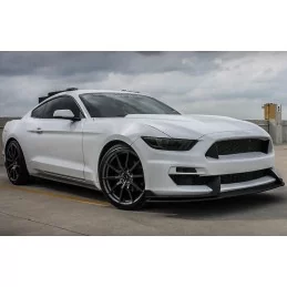 Bumper before Ford Mustang Shelby GT350