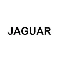 JAGUAR spare parts and tuning accessories